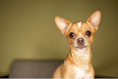 《漫威蜘蛛侠：重制版》更新 优化视效技术支持